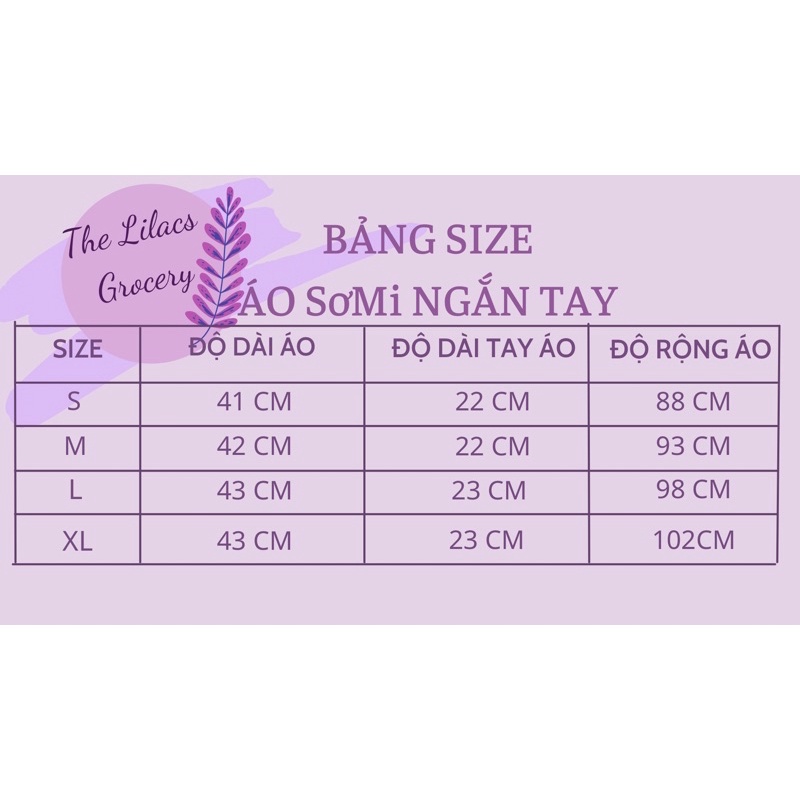 Áo cộc tay trắng phong cách JK có sẵn các size