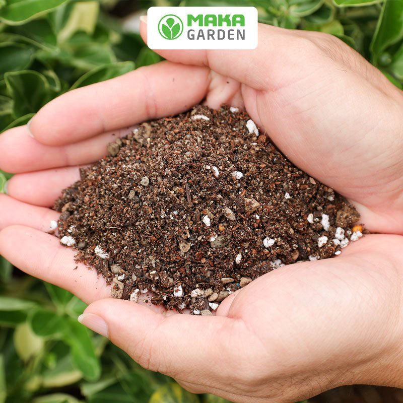 Đất trồng Sen đá và Xương rồng Namix - túi 1.5kg  - tơi xốp, thoáng khí, thoát nước tốt