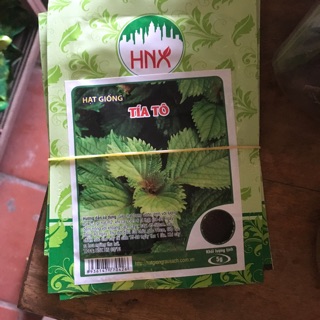 Hạt giống tía tô 5gr