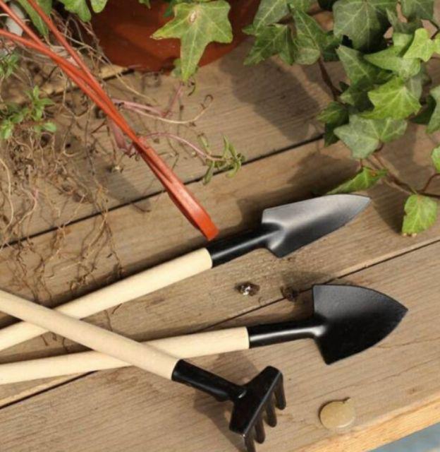 Bộ 3 dụng cụ chăm sóc cây cảnh mini