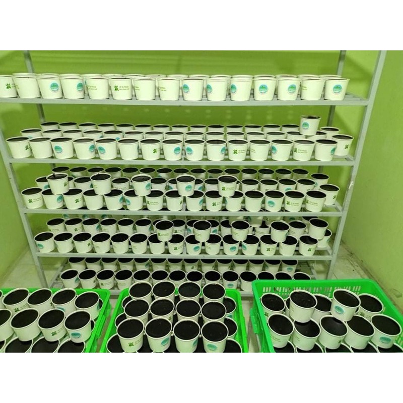Thạch đen cao Bằng hôp 800gr ❤️GIÁ SỈ❤️ thanh mát giải nhiệt Chuẩn ngon đảm bảo Vsattp