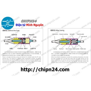 Cầu chì nhiệt RY 216 độ 10A 250V (RY-216 TF216)