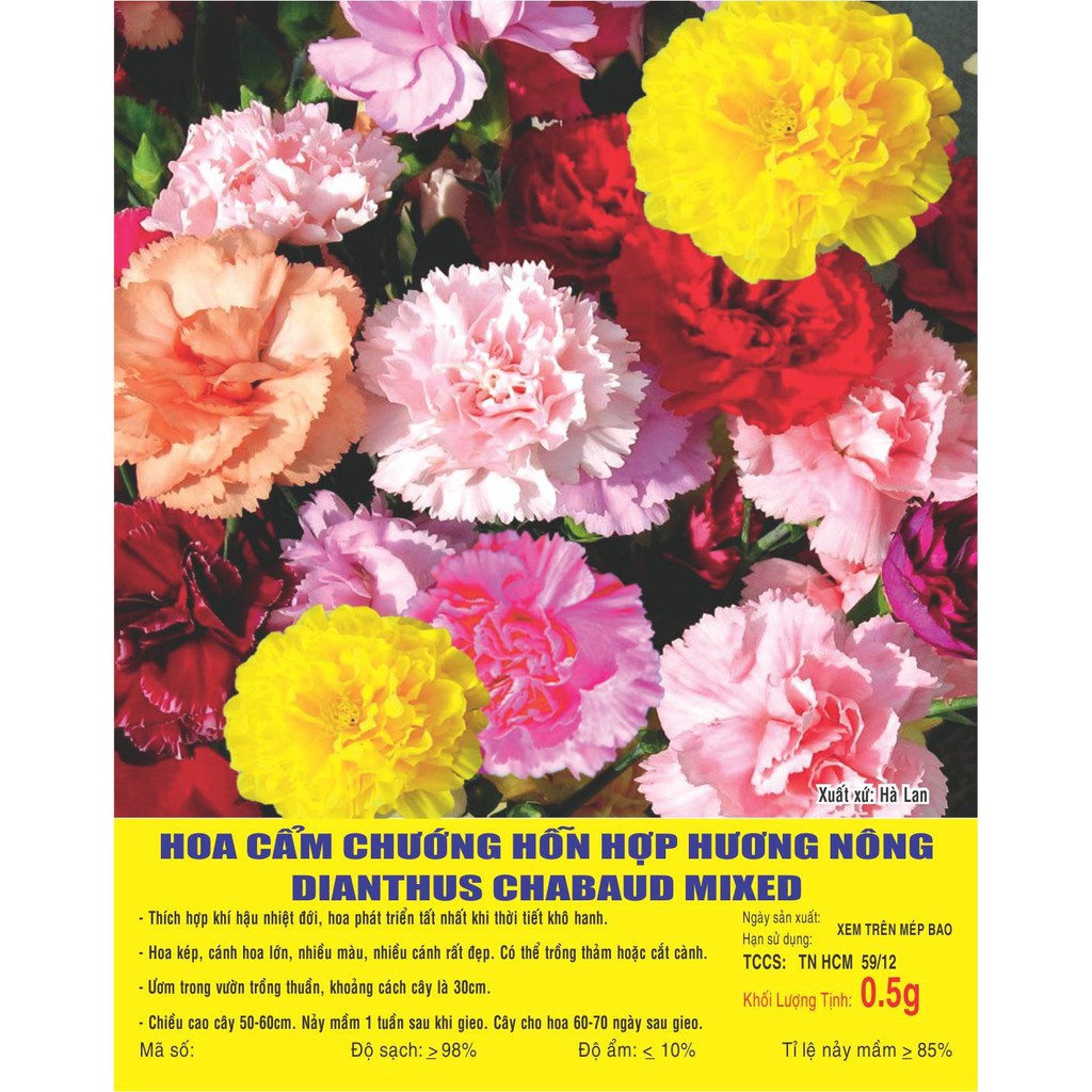 Hạt giống Hoa Cẩm chướng kép nhiều màu - Gói 0,5 gram