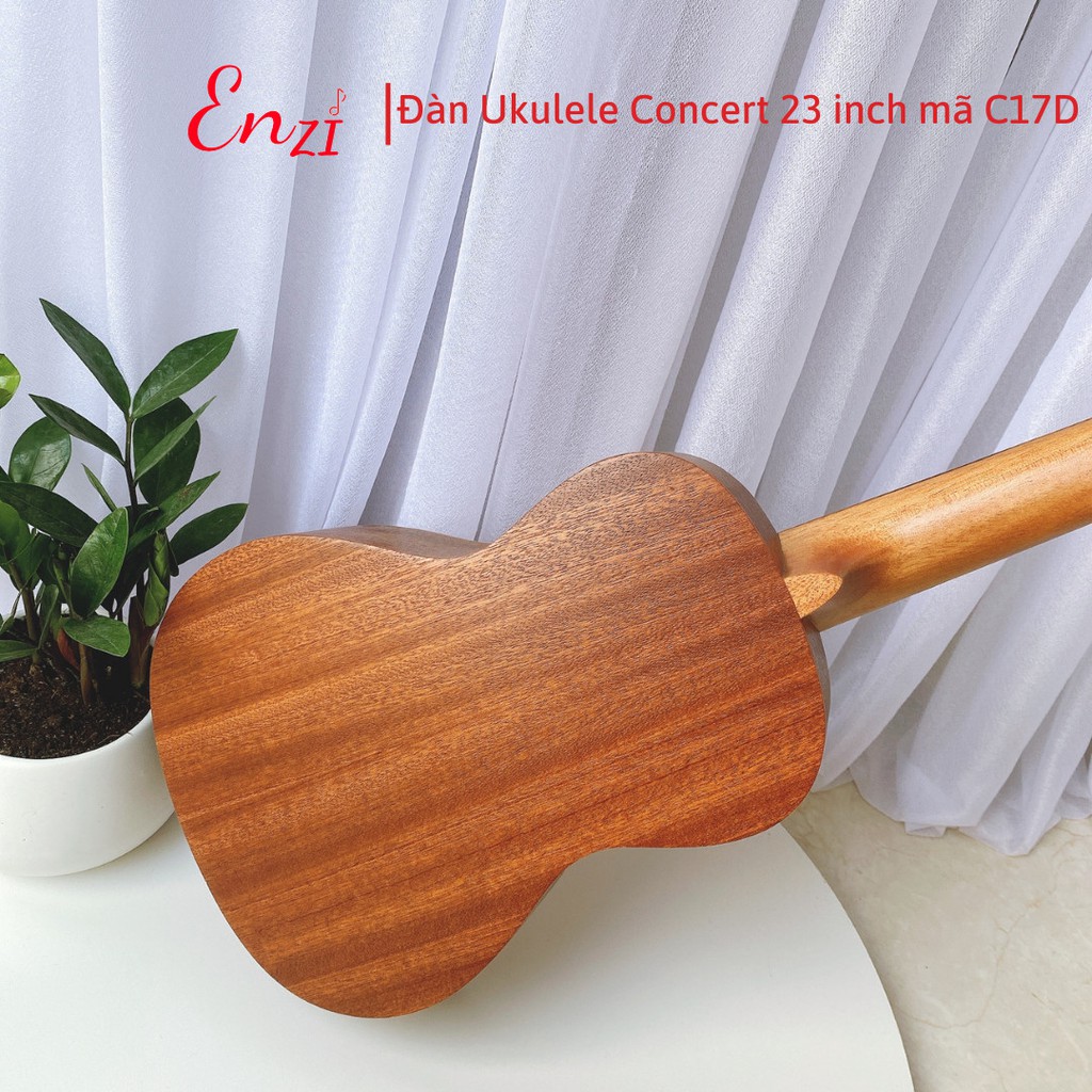 Đàn ukulele concert 23 inch Enzi C17D Viền hoa mặt trời với khóa đúc cao cấp và kèm khuy đeo dây tiện lợi