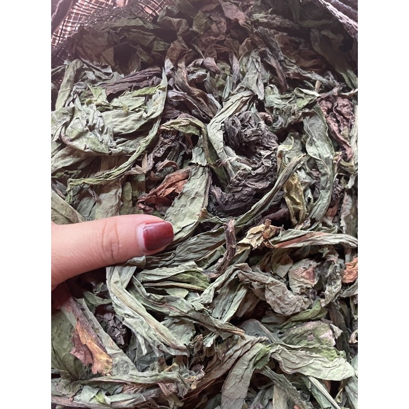 Bồ công anh khô 1 kg có sẵn ở Hà nội