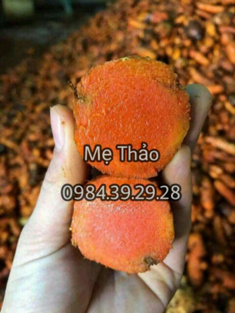 Tinh bột nghệ 100% nghệ đỏ