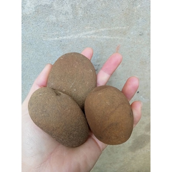 Đá kì tắm tự nhiên, đá kì tẩy tế bào chết  chọn lọc