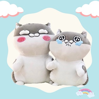 [CHUYÊN SỈ GIÁ SỐC] Thú Bông Icon Bé Mèo AMI Cao 60cm Siêu Lầy (2 Kiểu)