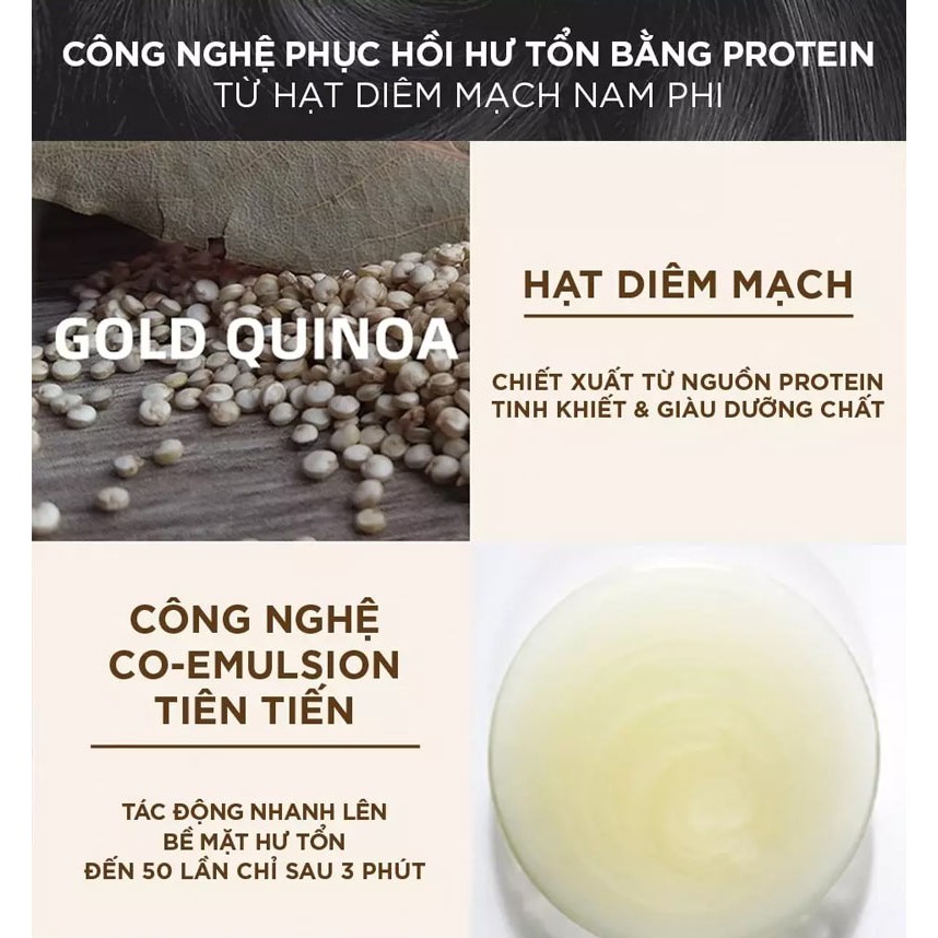 Dầu xả tóc phục hồi tóc hư tổn L'oreal Gold Quinoa + Protein Absolut Repair diêm mạch vàng 200ml