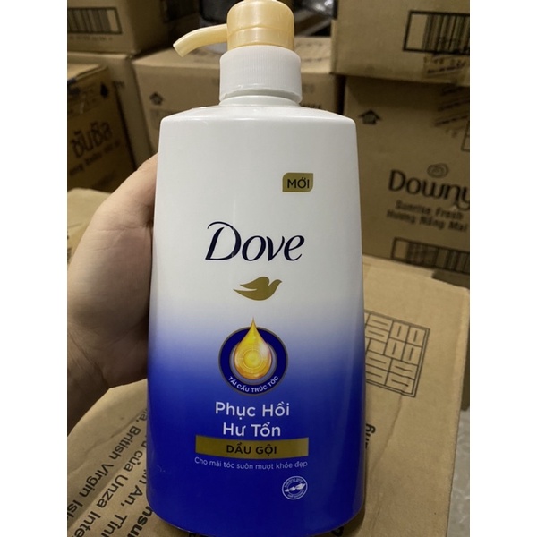 Dầu gội Dove phục hồi hư tổn 640g