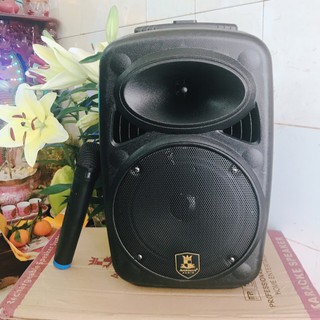 Loa kéo di động AVCROWNS CH-M08