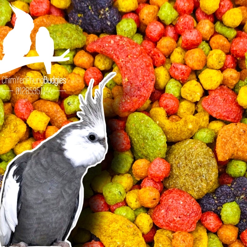 500g Zupreem size trung cho Vẹt Lovebird • Cockatiel • SunConure..