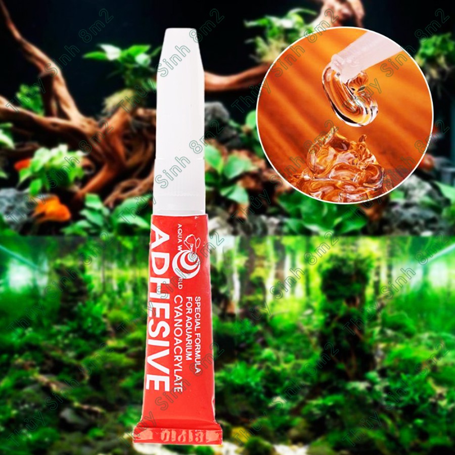 Keo Dán Rêu và Cây Thủy Sinh AQUA WORLD - 8m2