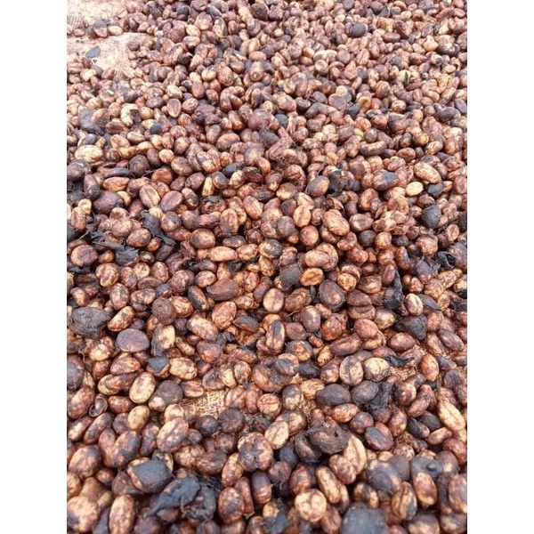 Cafe Culi nguyên chất lựa chín Buôn Mê Thuộc 500g