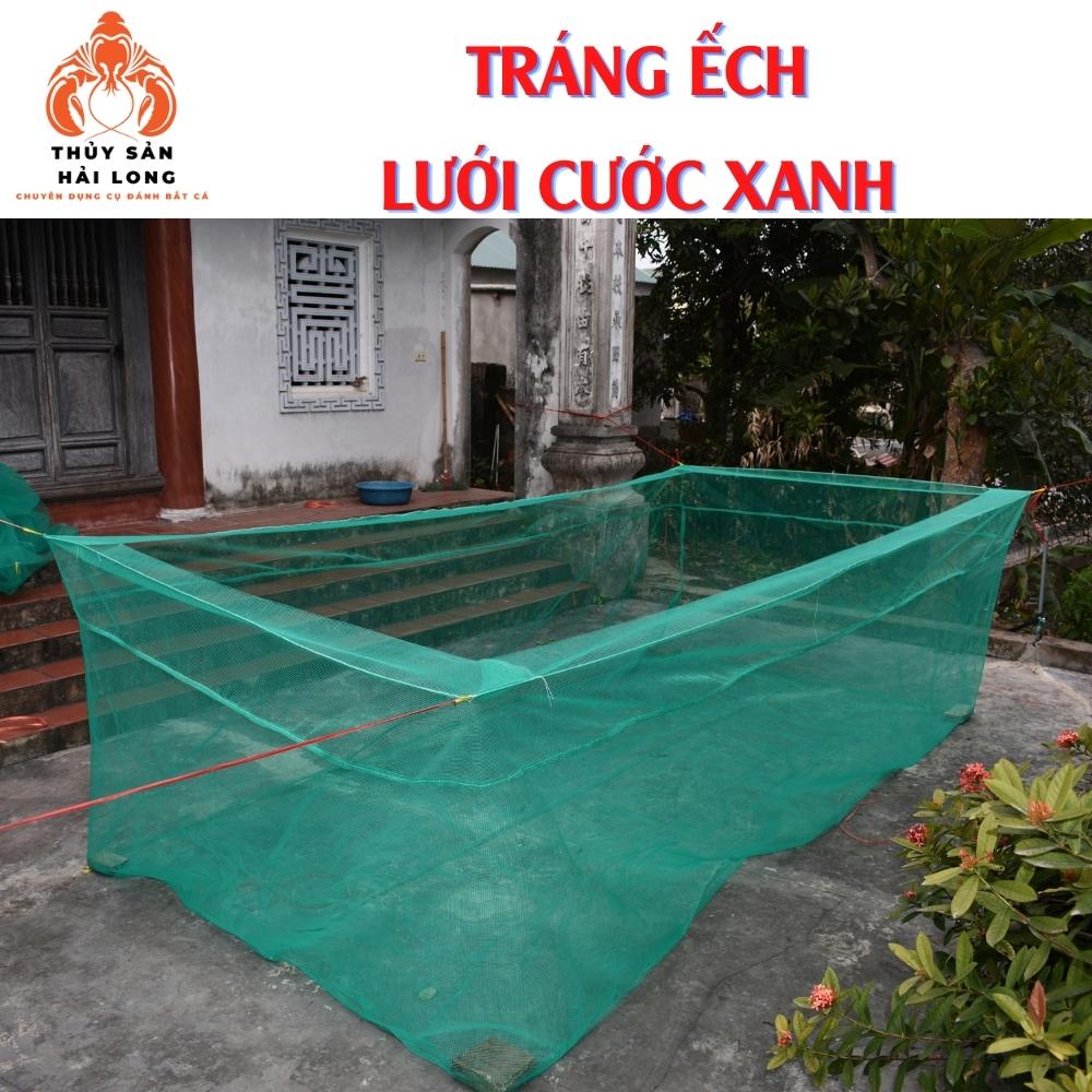 Tráng nuôi ếch lưới cước xanh khum miệng 20cm - mắt lưới 4mm