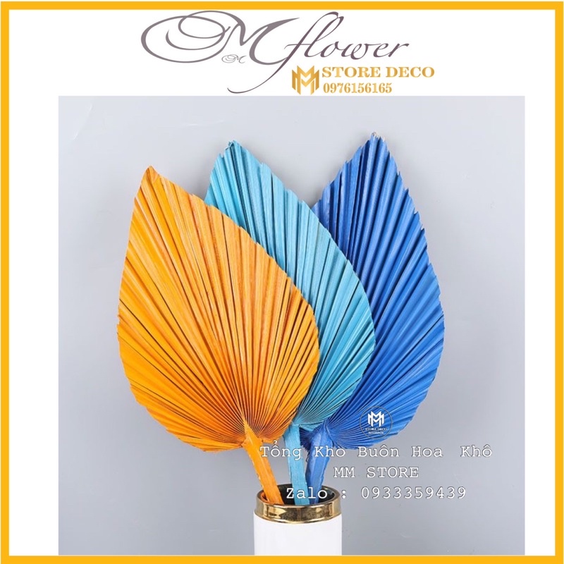 Lá cọ khô mini màu , deco trang trí vintage ,lá cọ trang trí cắm hoa
