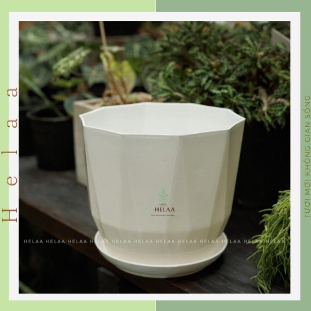 Chậu Nhựa Có Dĩa Kim Cương, Chậu Trồng Hoa Liền Đĩa, Cây Cảnh, Ban Công, Bàn Làm Việc Văn Phòng - 21x21cm