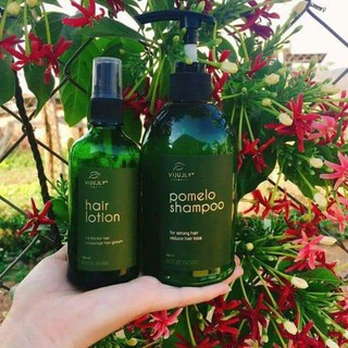 Combo dầu gội bưởi+ tinh dầu bưởi