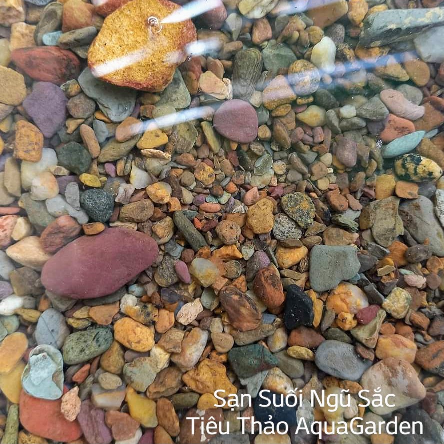 Sạn Suối Ngũ Sắc - Sạn Suối Đỏ - Sạn Suối Xám | Bao 200g - 500g - 1kg | Trang Trí Nền Hồ Biotop- Hồ Cá Cảnh..