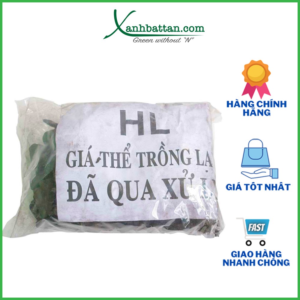 Giá Thể Than Củi Trồng Lan Đã Xử Lý