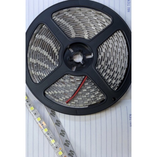 Led Cuộn Dây Led 5M 5050 có keo màu trắng ấm- vàng nắng-trắng
