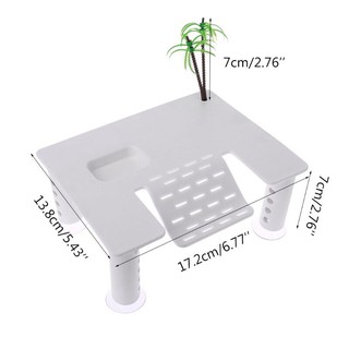 Bệ phơi nắng cho rùa gắn bể