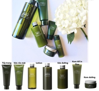 Bộ dưỡng da Muji Organic