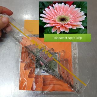 KHUÔN CẮT LÀM HOA ĐỒNG TIỀN