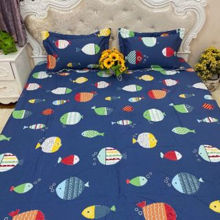 Bộ ga gối vỏ chăn cotton hàng elise sale