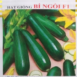 Hạt giống bí ngòi xanh f1