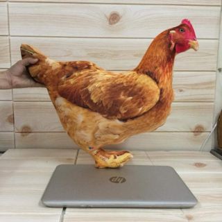 Gối ôm 3d gà mái 55cm