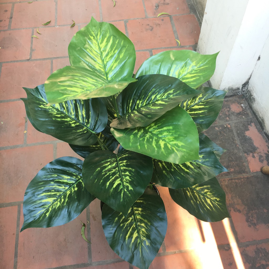 Cây trầu bà lá xanh giả đẹp- Cây giả