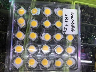 Set 5 chip led COB 10W dùng qua chấn lưu đèn