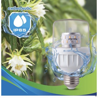 Bóng đèn LED thanh long, hoa cúc 9W