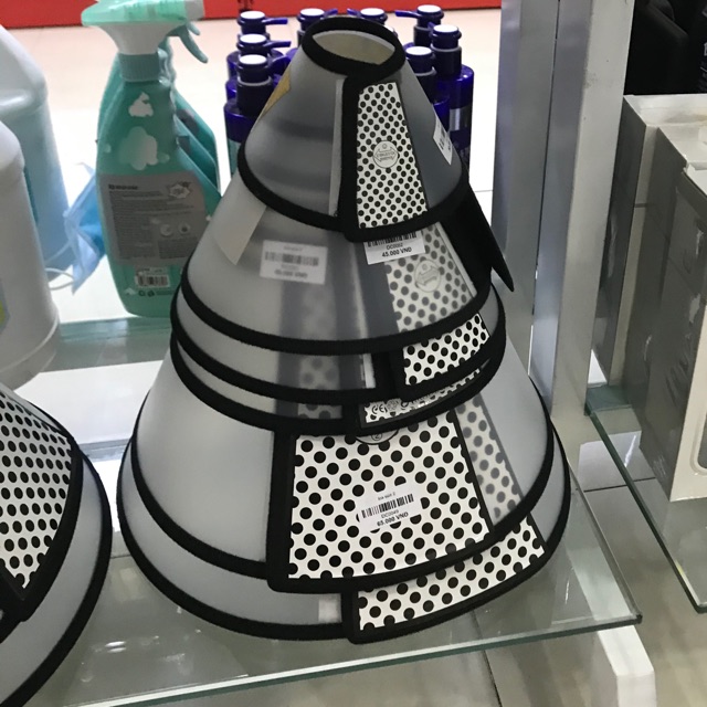 Loa chống liếm cho chó mèo