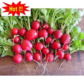Gói 1g 50 hạt giống củ cải đỏ