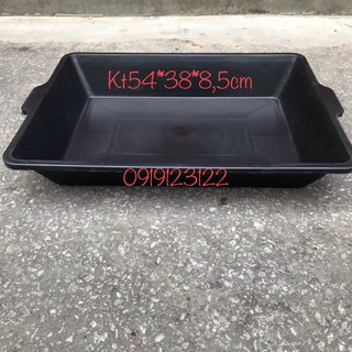 Sale 10 máng trồng rau sạch, rau mầm, Khay trồng rau sạch rau mầm màu đen