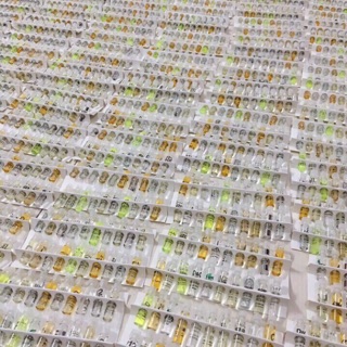 Set nước hoa Test 10 mùi