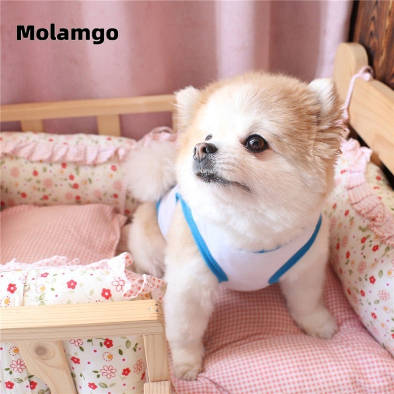 Áo Vest Thời Trang Xinh Xắn Cho Thú Cưng