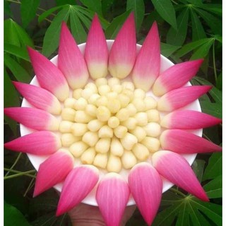 CỦ KIỆU ĐƯỜNG 95K/800G