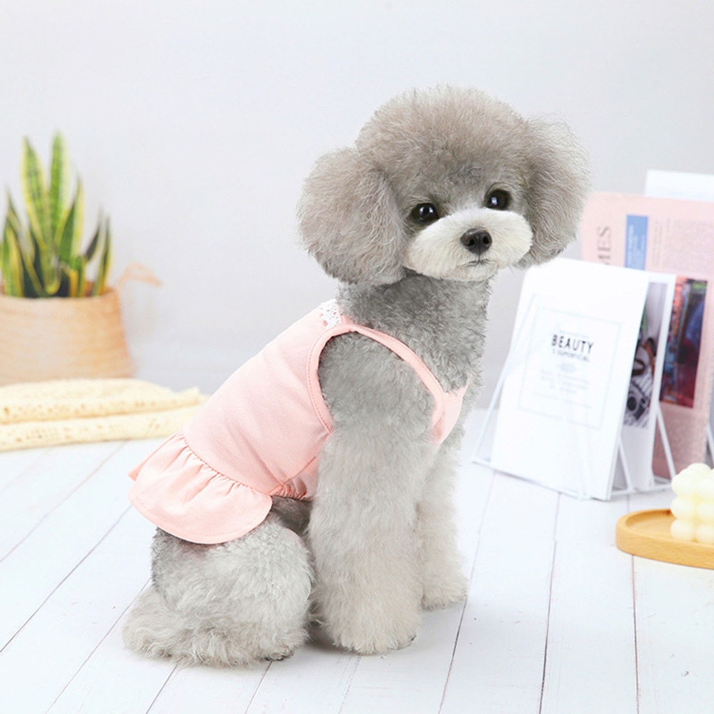 Váy Hoa Xinh Xắn Dành Cho Thú Cưng