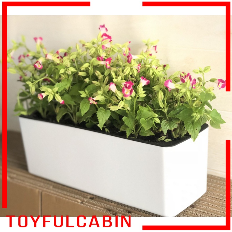 Bình Tưới Cây Tự Tưới Nước Hình Chữ Nhật Bằng Nhựa Màu Trắng