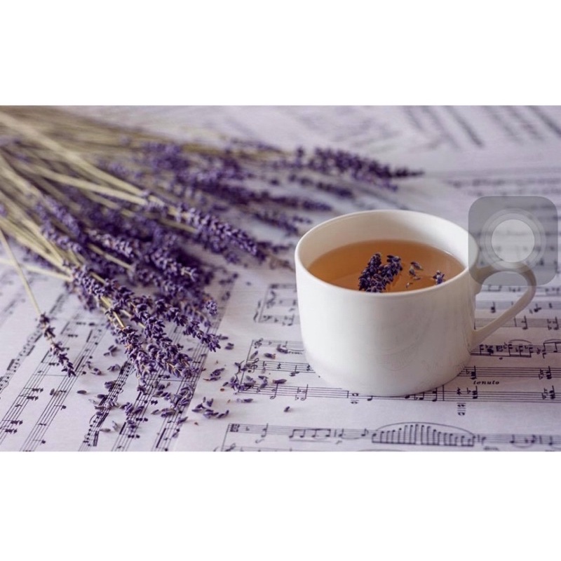 Trà hoa oải hương-Lavender tea