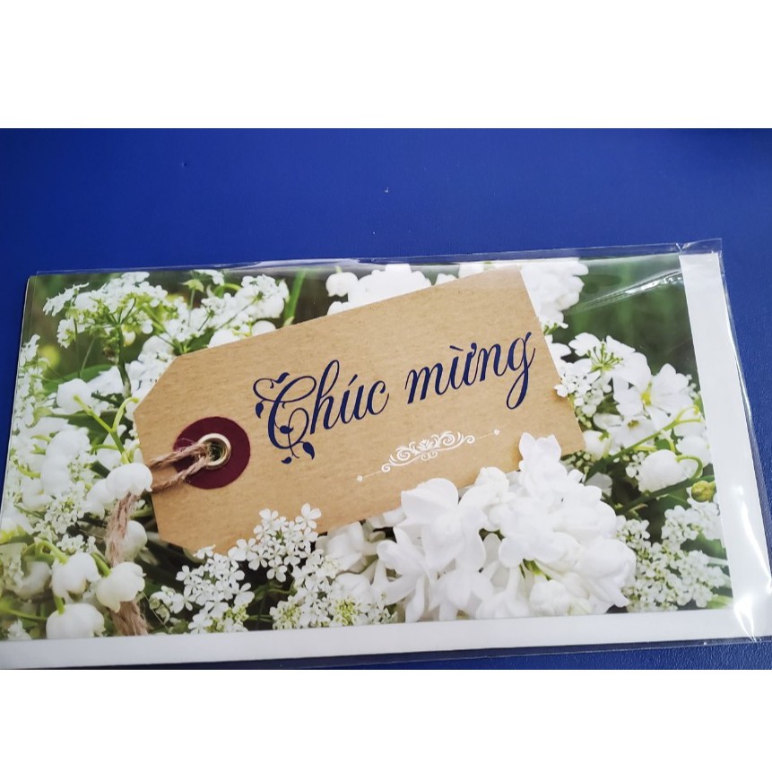 Thiệp siêu đẹp Chúc mừng, SN,Thiệp Thanks you, 8/3 - Ngày nhà giáo 20/11, 20/10, TẾT (Chất giấy Hàn Quốc)