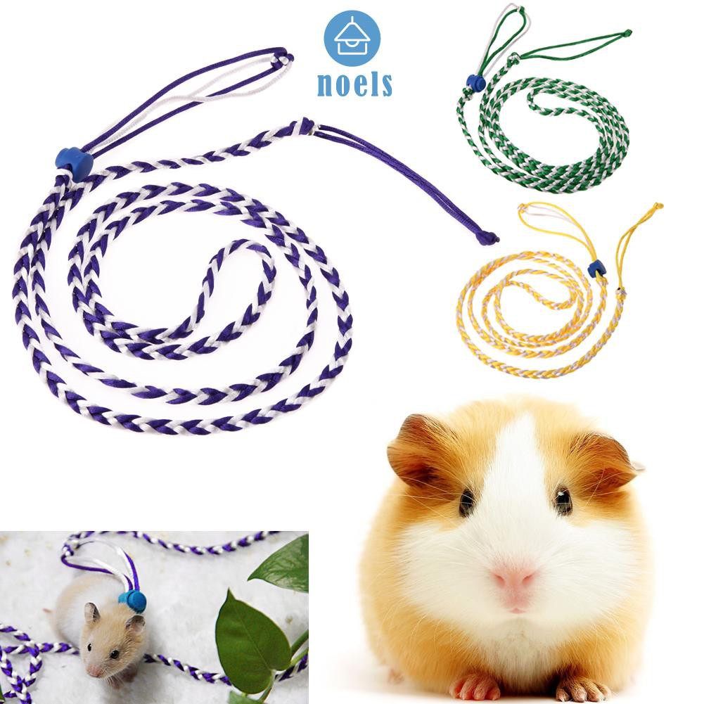 Dây Dẫn Chuột Hamster Đi Dạo