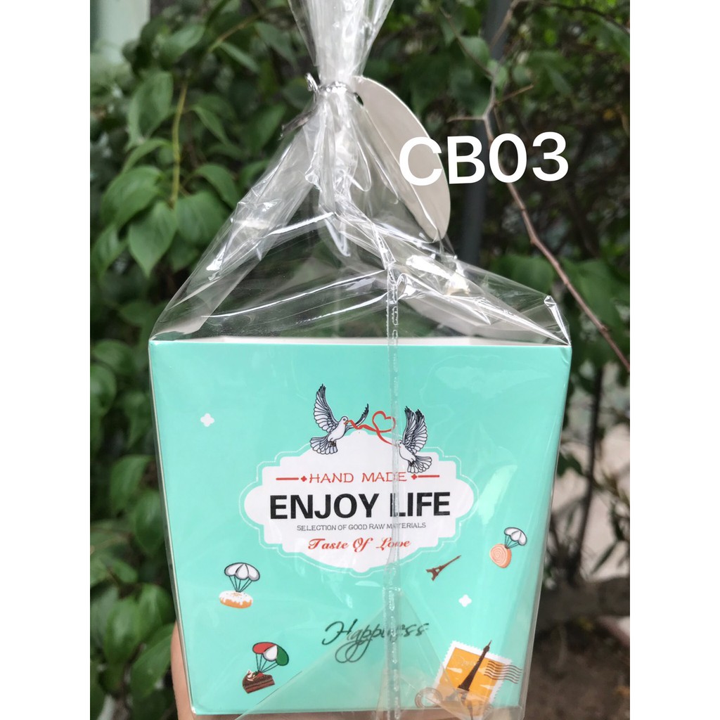 Túi đựng bánh cookie CB03 - 100c