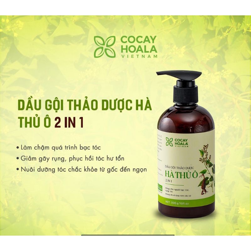 DẦU GỘI HÀ THỦ Ô 2IN1 CHAI 800ML