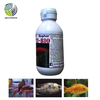 Dung dịch Anti bio cho cá cảnh 100 ml