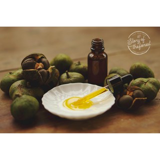 Dầu dưỡng da hạt trà - camellia nguyên chất