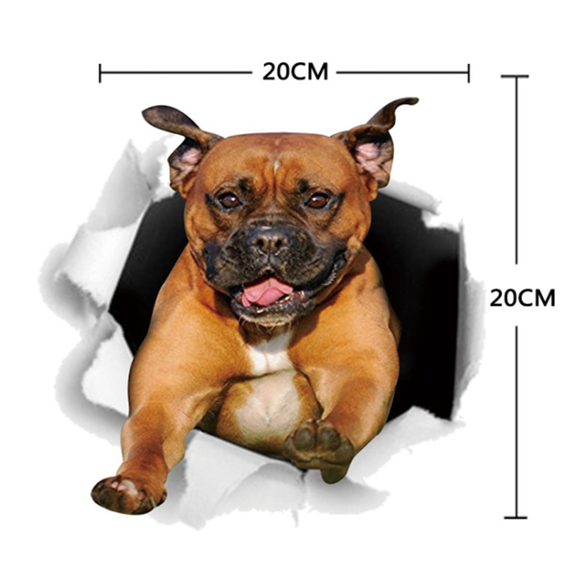 Tem dán xe ô tô 3D, Đề can dán xe- che vết xước, trang trí xe hơi